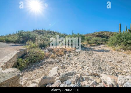 Dry creek près de la route dans le parc national de Sabino Canyon - Tucson, Arizona. Ruisseau Sabino près des pentes de montagne avec cactus saguaro sous le soleil et le bleu Banque D'Images