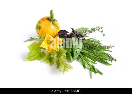 Citrouille jaune avec fleur, feuilles et bourgeons et herbes épicées sur fond blanc. Banque D'Images