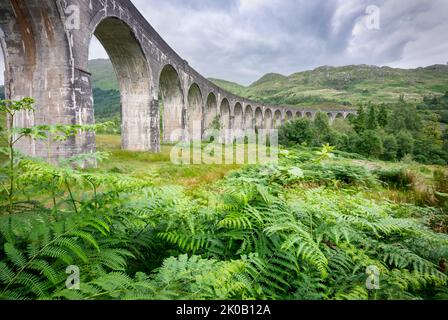 En regardant le viaduc grand, étroit et impressionnant qui porte le train de vapeur de Jacobite emblématique train, se pencher à travers les Highlands de l'ouest d'Inve Banque D'Images