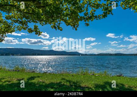 Rive du lac Radolfzell sur le lac de Constance en été ciel bleu et soleil Banque D'Images