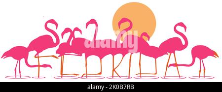 La Floride est énoncée dans les jambes d'une volée de flamants debout dans l'eau peu profonde au coucher du soleil dans cette illustration à propos de tropical en Floride, aux États-Unis. Banque D'Images