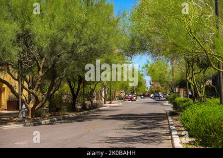 rue et zone verte avec des arbres de palo verde dans le centre-ville de Tucson, Arizona, États-Unis. Ville de Tucson. Est une ville en Arizona, dans le désert de Sonoran, entouré par plusieurs chaînes de montagnes, y compris la Sierra de Santa Catalina. Les demeures restaurées du quartier historique d'El Presidio et les maisons en adobe du Barrio Historico reflètent les débuts de la ville datant de 19th ans. Tucson abrite l'Université de l'Arizona et a de nombreux magasins d'époque, boîtes de nuit et restaurants sur la quatrième Avenue (© photo Luis Gutierrez par NortePhoto.com) Centro de la Ciudad de Tucson, Arizona, États-Unis. Ville o Banque D'Images