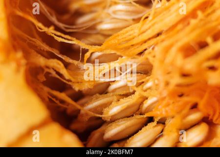 Coupez la moitié de la citrouille d'Halloween avec de la pulpe pleine de graines mûres. Gros plan en studio Banque D'Images