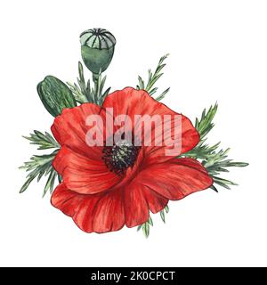Composition de fleurs et de bourgeons de pavot rouge peints en aquarelle, isolés sur fond blanc. Pour le design, les invitations, l'emballage, les cartes postales Banque D'Images