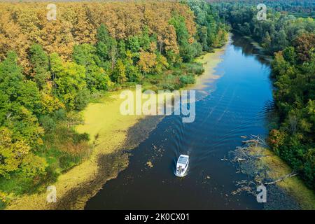 Vue aérienne d'un bateau touristique sur la rivière Strug à Lonjsko polje, Croatie Banque D'Images