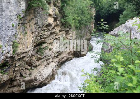 Vue sur la rivière de la tempête Belaya dans la gorge de Khadzhokh en été, Adygea Banque D'Images
