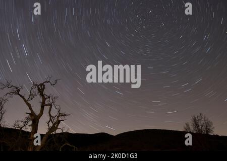 Une longue exposition d'un ciel nocturne rempli d'étoiles, avec des arbres et des collines silhouettes Banque D'Images