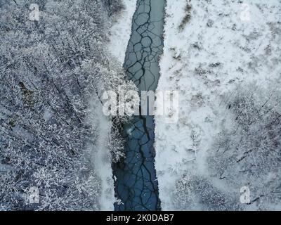 Forêt enneigée et rivière sinueuse sur la plaine en hiver. Vue aérienne de la nature en hiver Banque D'Images