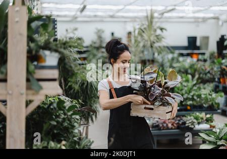 Femme travaillant dans un jardin Banque D'Images