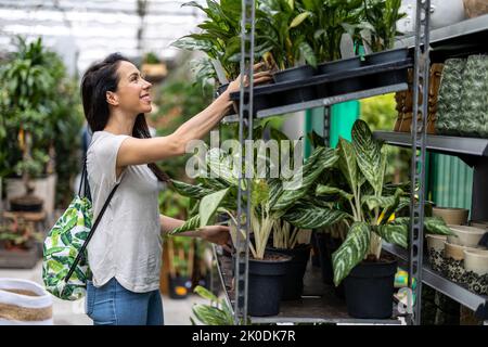 Femme travaillant dans un jardin Banque D'Images