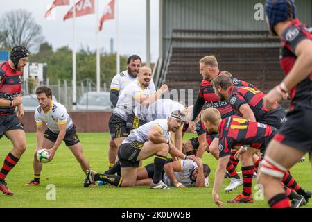 Match de rugby entre le cheval de Troie NRK (rouge-noir) et les exilés de Stockholm à Norrköping sur 10 septembre 2022 au stade Bollspelaren. Banque D'Images