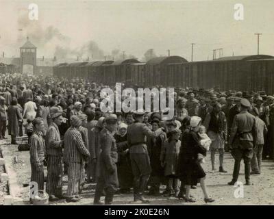Sélection des Juifs hongrois sur la rampe d'Auschwitz-II-Birkenau, en Pologne occupée par l'Allemagne, mai/juin 1944, pendant la phase finale de l'Holocauste. Les Juifs ont été envoyés au travail ou à la chambre à gaz. Banque D'Images