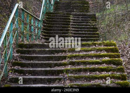 Vieux escalier couvert de mousse dans le parc. Banque D'Images