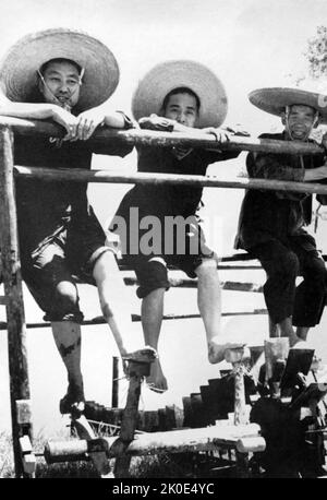 En juillet 1970, Hua Guofeng, premier secrétaire du Comité Hunan du CPC, a participé à des travaux agricoles dans la brigade de Gaoqiao de la commune de Dongtundu, dans la banlieue de Changsha. Hua Guofeng (1921 - 2008) était un homme politique chinois qui a été président du Parti communiste de Chine et premier ministre de la République populaire de Chine. Le successeur désigné de Mao Zedong Banque D'Images