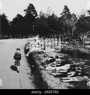 Un enfant passe par une route bordée de morts du camp de concentration de Bergen-Belsen en 1945. Banque D'Images