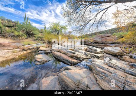 Eaux réfléchissantes de Sabino creek au parc national de Sabino à Tucson, Arizona. Il y a des rochers autour de l'eau et une vue sur les plantes du désert contre le Th Banque D'Images