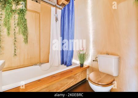 Toilettes et cabine de douche à chasse d'eau avec cloison en verre et rideau situés près de l'évier et de la tablette avec des produits cosmétiques dans les toilettes à la maison Banque D'Images