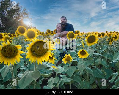 Homme en chemise bleue embrassant une femme dans une chemise blanche tout en se tenant au milieu d'un beau champ de tournesol Lawrence Kansas Banque D'Images