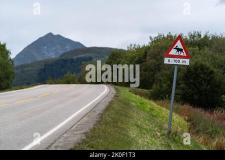 Panneau de signalisation routière indiquant l'orignal à Lofoten, Norvège Banque D'Images