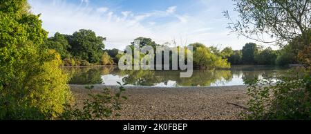 Le lac du cimetière appauvri sur Southampton Common, Hampshire, Angleterre, le 2 août 2022, après le plus sec juillet depuis 1935. Banque D'Images