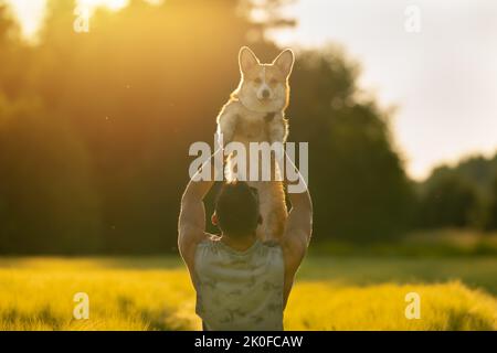 Homme tenant le chien heureux de corgi dans ses bras au coucher du soleil. Chien et propriétaire ensemble. Amour pour les animaux de compagnie Banque D'Images