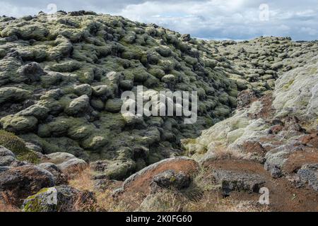 Lave couverte de mousse, champ de lave d'Eldhraun, Islande Banque D'Images