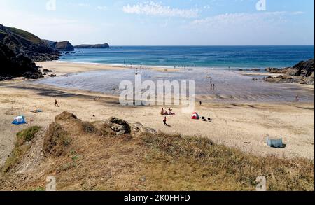 Polurian Beach, Million, Cornouailles, Angleterre, Royaume-Uni. 13th août 2022. La célèbre plage de Polurian Cove sur la côte ouest du Lizard P. Banque D'Images