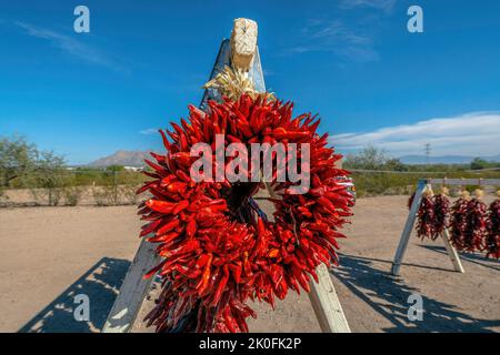 Tucson, Arizona - une couronne de piments sur le côté de la route. Des cordes de piments rouges suspendues contre la vue d'une clôture et des plantes Banque D'Images