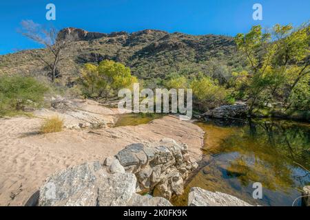 Grandes formations rocheuses entourant la crique au parc national de Sabino Canyon, Tucson, Arizona. Crique avec vue sur une montagne avec des cactus saguaro sur son Banque D'Images