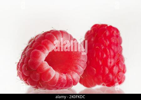 Prise de vue macro. Framboises mûres sur fond blanc. Délicieux aliments sucrés, vitamines, antioxydants. Jus, confitures, farce de confiserie. Vie saine Banque D'Images