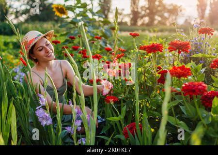 Jeune femme jardinier choisit du gladiolus frais et du zinnia rouge dans le jardin d'été à l'aide d'un sécateur. Récolte de fleurs coupées. Un fermier coupe des fleurs rouges et roses au soleil Banque D'Images