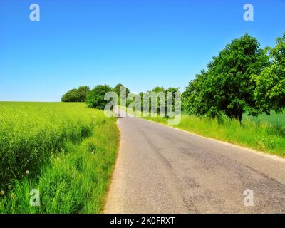 Explorez la campagne. Une route de campagne serpentant à travers un paysage pittoresque. Banque D'Images