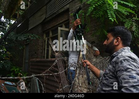 11 septembre 2022, Srinagar, Jammu-et-Cachemire, Inde: Les responsables de la faune cachemiri recherchent un ours sauvage après qu'un civil ait été blessé dans son attaque à Srinagar, Cachemire contrôlé par l'Inde, le dimanche 11 septembre 2022. (Credit image: © Mubashir Hassan/Pacific Press via ZUMA Press Wire) Banque D'Images