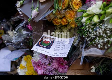 Londres, Royaume-Uni.11th septembre 2022. Un grand nombre de personnes se sont rassemblées pour déposer des hommages floraux aux portes du Palais de Buckingham alors que la Grande-Bretagne pleure la mort de la reine Elizabeth II Crédit : CIC de la majorité mondiale/Alamy Live News Banque D'Images