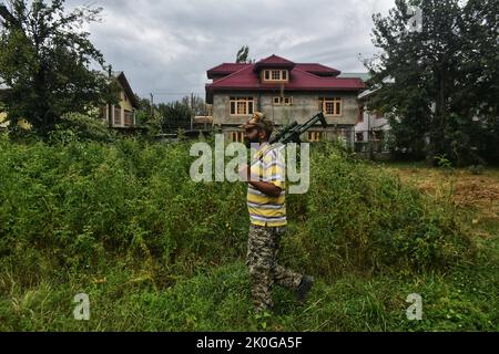 11 septembre 2022, Srinagar, Jammu-et-Cachemire, Inde: Un responsable de la faune cachemiri recherche un ours sauvage après qu'un civil a été blessé dans son attaque à Srinagar, Cachemire contrôlé par l'Inde, le dimanche 11 septembre 2022. (Credit image: © Mubashir Hassan/Pacific Press via ZUMA Press Wire) Banque D'Images