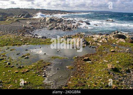 Stokes point, King Island Banque D'Images