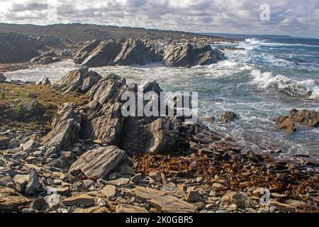 Stokes point, King Island Banque D'Images