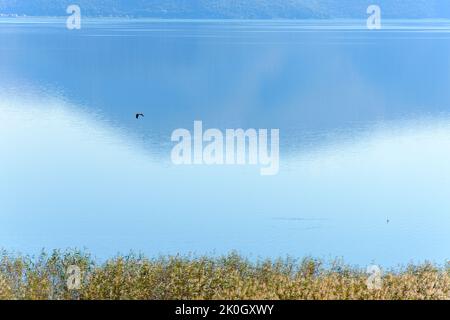 Petit lac Prespa en Macédoine, dans le nord de la Grèce Banque D'Images