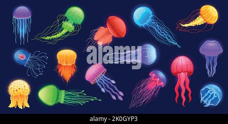 Méduse de dessin animé. Animal sous-marin exotique brillant, créature marine profonde brillante avec tentacules différentes couleurs et formes. Ensemble vectoriel isolé Illustration de Vecteur