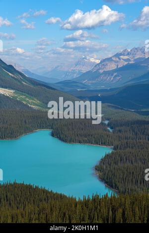 Vue aérienne du lac Peyto, parc national Banff, Alberta, Canada. Banque D'Images