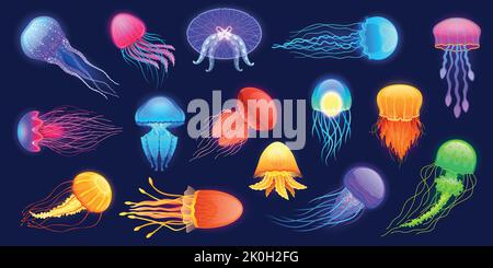 Méduses luminescentes. Dessins animés sous-marins animaux exotiques de la mer de différentes couleurs et formes flottant dans l'eau. Vecteur mignons créatures sous-marines transparentes Illustration de Vecteur