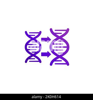 Icône de réplication de l'ADN sur blanc Illustration de Vecteur