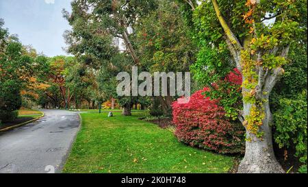 Un paysage frais d'un parc public coloré avec des arbres et des buissons Banque D'Images