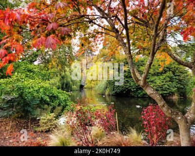 Un paysage frais d'un parc public coloré avec un petit étang et des arbres d'automne Banque D'Images