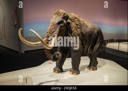 Exposition 'Mamut' au CaixaForum sur les mammouths, les géants de l'âge de glace, Saragosse, Espagne. Banque D'Images