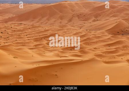 ERG Chebbi dunes dans le désert du Sahara. Voiture hors route dans le désert du Sahara près de Merzouga au Maroc Banque D'Images