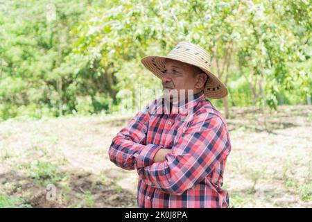 Agriculteur mature debout seul dans sa récolte Banque D'Images