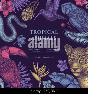 Illustrations dessinées à la main pour animaux tropicaux. Arrière-plan avec léopard d'époque, serpent, colibri, toucan, cramoisi, monstera, banane de palme Illustration de Vecteur