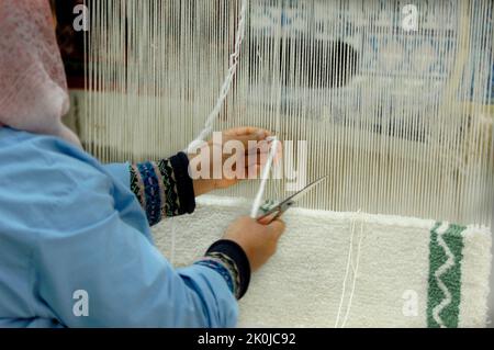 Weaver, Sidi Bou Said, Tunisie, Afrique du Nord, Afrique Banque D'Images