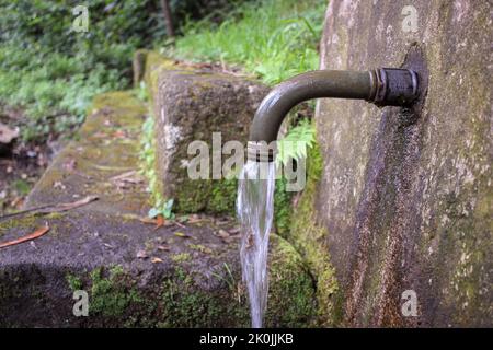 eau sortant d'un robinet dans une fontaine au milieu de la nature Banque D'Images